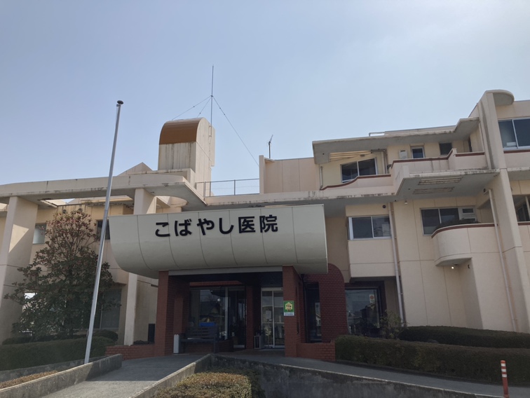 画像6