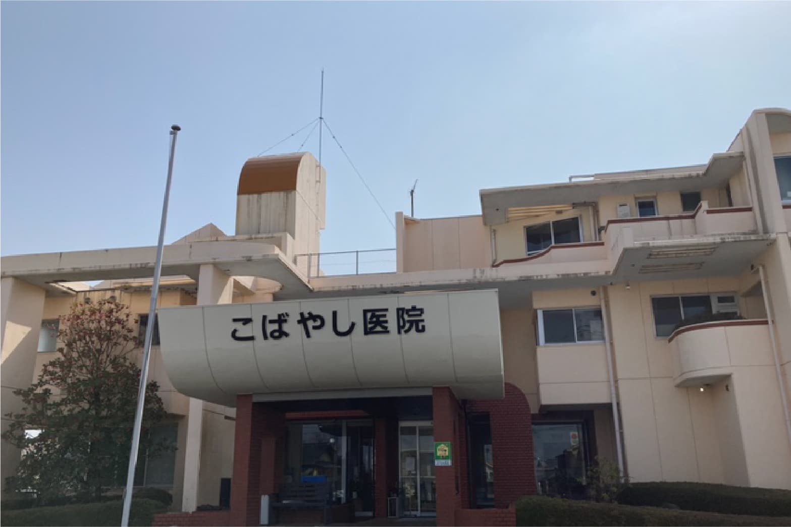 画像6